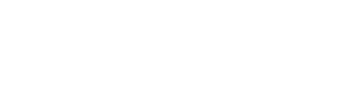 星核